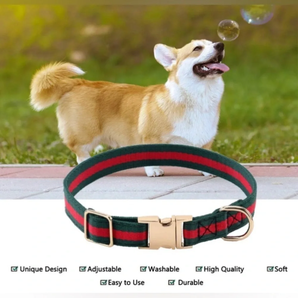 High Fashion Dog Collar
